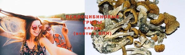 эйфоретик Алексеевка