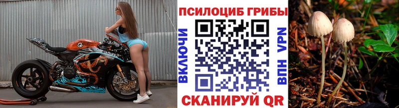 hydra как зайти  Темрюк  Галлюциногенные грибы GOLDEN TEACHER 
